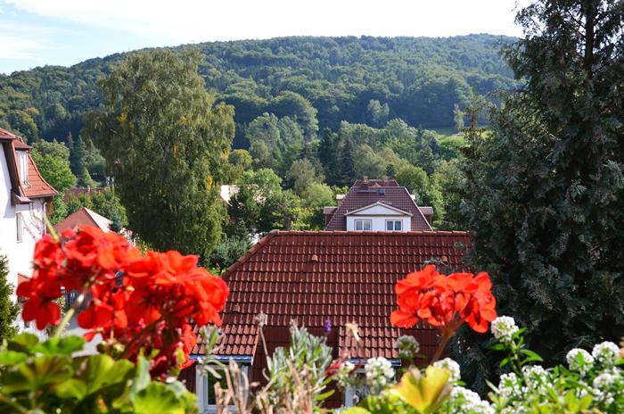Villa Sonnenseite Jonsdorf Exterior foto